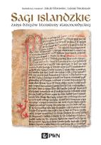 Okładka książki Sagi islandzkie . Zarys dziejów literatury staronordyckiej