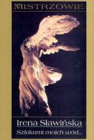 Okładka książki Szlakami moich wód...