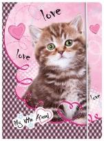 Opakowanie Teczka z guma A4 My Little Friend bpz