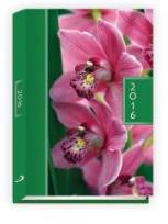 Okładka książki Terminarz 2016 - A5 Kolorowy - storczyk