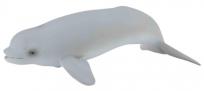 Okładka książki Wieloryb beluga młode