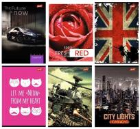 Opakowanie Brulion A5/96K kratka MIX (5szt)