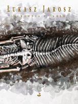 Okładka książki Kardonia i Faber