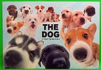 Opakowanie Podklad oklejany The dog