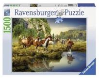Opakowanie Puzzle 1500 Dzikie konie