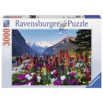 Opakowanie Puzzle 3000 Kwieciste góry