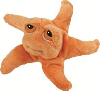 Opakowanie Rozgwiazda Astro 15 cm