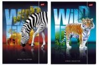 Opakowanie Teczka z gumką A4 Wild Life
