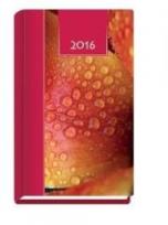 Okładka książki Terminarz 2016 tygodniowy Kolorowy - krople