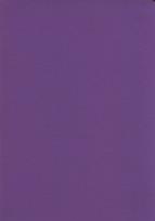 Opakowanie Zeszyt A5 Rainbow w kratkę 60 kartek fioletowy