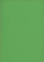 Opakowanie Zeszyt A5 Rainbow w kratkę 60 kartek jasnozielony