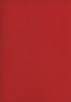 Opakowanie Zeszyt A5 Rainbow w kratkę 96 kartek czerwony