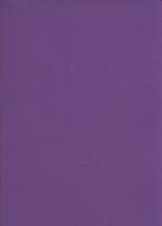 Opakowanie Zeszyt A5 Rainbow w kratkę 96 kartek fioletowy