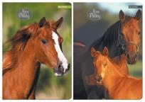 Opakowanie Zeszyt A5 w kratkę 60 kartek 2 wzory