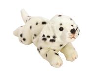 Opakowanie Dalmatyńczyk 35 cm leżący