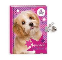 Opakowanie Pamiętnik z kłódką