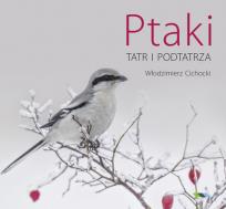 Okładka książki Ptaki Tatr i Podtatrza