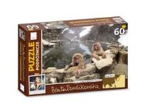 Okładka książki Puzzle podróżnicze - Japonia 60