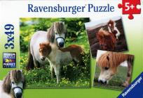 Opakowanie Puzzle Przyjacielski kucyk 3x49