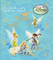 Opakowanie Segregator B6 Wróżki mix 2 wzory