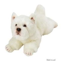 Okładka książki West Highland Terrier 35 cm leżący