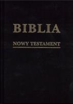 Okładka książki Biblia w zarysie. Nowy Testament płótno