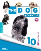 Opakowanie Cocker Spaniel