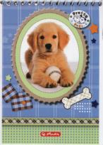 Opakowanie Kołonotatnik A7 Pretty Pets pies