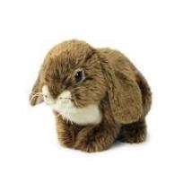 Opakowanie Królik siedzący brązowy 25 cm ACP