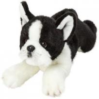 Opakowanie Leżący Boston Terierr 30cm SUKI