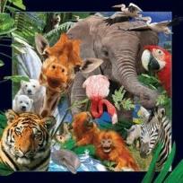 Opakowanie Magnes 3D Dzikie Zwierzęta