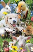 Opakowanie Mini kartka 3D Farma