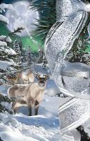 Opakowanie Mini kartka 3D Kokarda