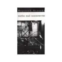 Okładka książki Niebo nad Sosnowcem