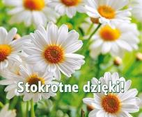 Okładka książki Perełka 263 Stokrotne dzięki!