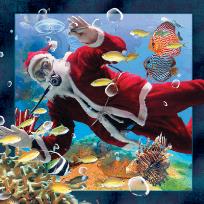 Opakowanie Pocztówka 3D Nurkujący Mikołaj