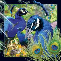 Opakowanie Pocztówka 3D Paw