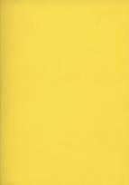 Okładka książki Zeszyt 96 w kratkę A5 Rainbow (półtwardy)