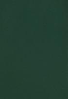 Opakowanie Zeszyt A5 Rainbow w kratkę 60 kartek ciemnozielony