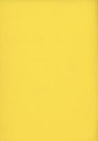 Opakowanie Zeszyt A5 Rainbow w kratkę 60 kartek żółty