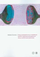 Okładka książki Dialog międzykulturowy w działalności polskich organizacji pozarządowych okresu transformacji systemowej