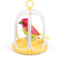 Opakowanie DigiBirds z klatką Costa