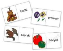 Opakowanie Domino logopedyczne wyrazowo - obrazkowe PR-BR