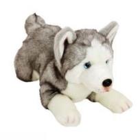 Okładka książki Husky 35 cm leżący
