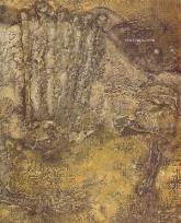 Okładka książki Jan Lebenstein