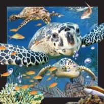 Opakowanie Magnes 3D Żółw Morski