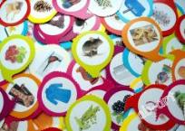 Opakowanie SZ kontra Ż/RZ