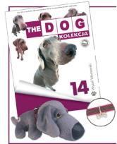 Opakowanie Wyżeł Wajmarski