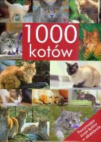 Okładka książki 1000 kotów
