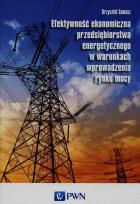 Okładka książki Efektywność ekonomiczna przedsiębiorstwa energetycznego w warunkach wprowadzenia rynku mocy